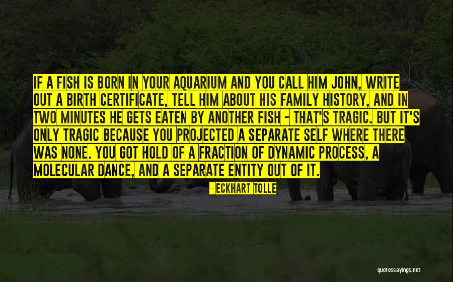 Dynamic Process Quotes By Eckhart Tolle Dynamic Process Quotes By Eckhart Tolle