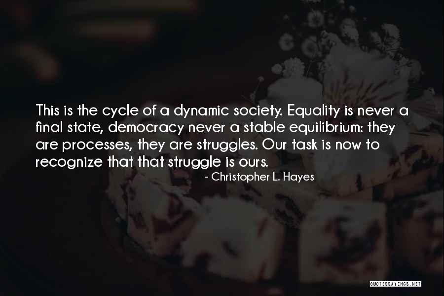 Dynamic Processes Quotes By Christopher L. Hayes