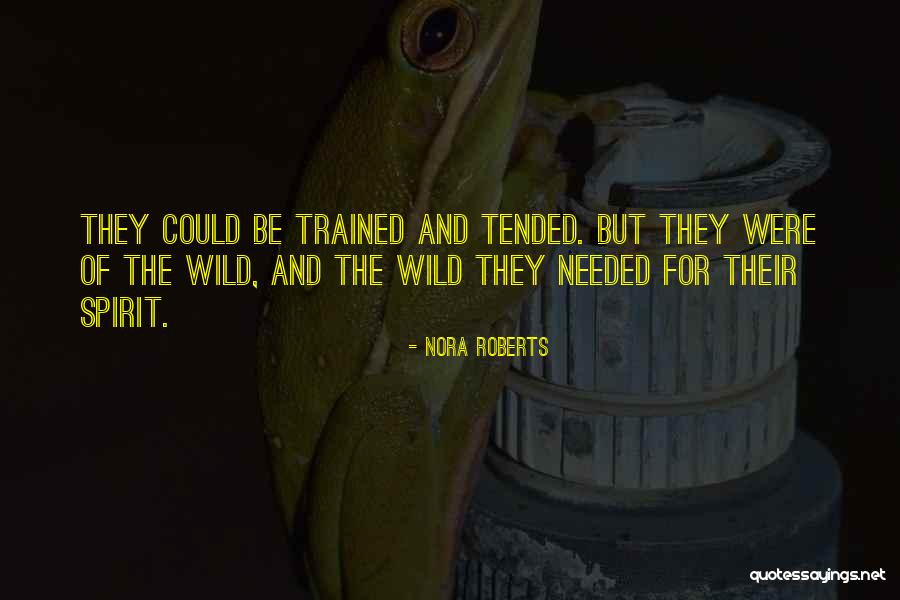 Dynevor Express Quotes By Nora Roberts Dynevor Express Quotes By Nora Roberts