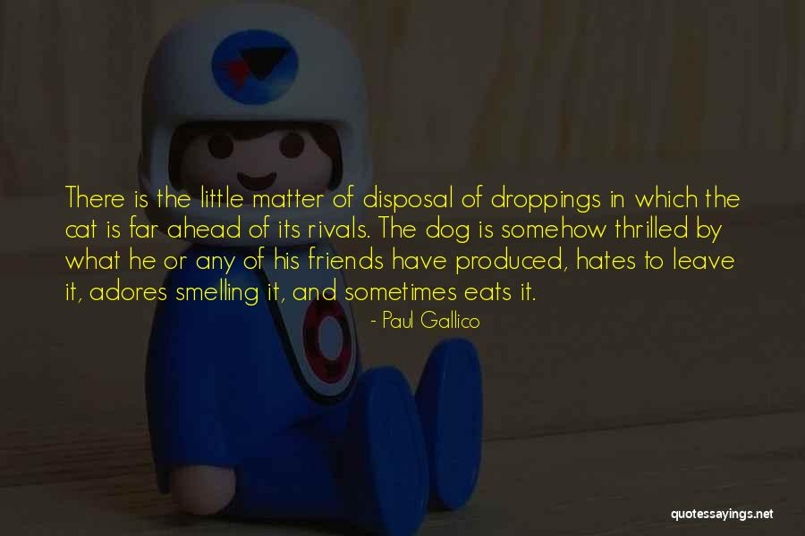 Dysart Quotes By Paul Gallico Dysart Quotes By Paul Gallico
