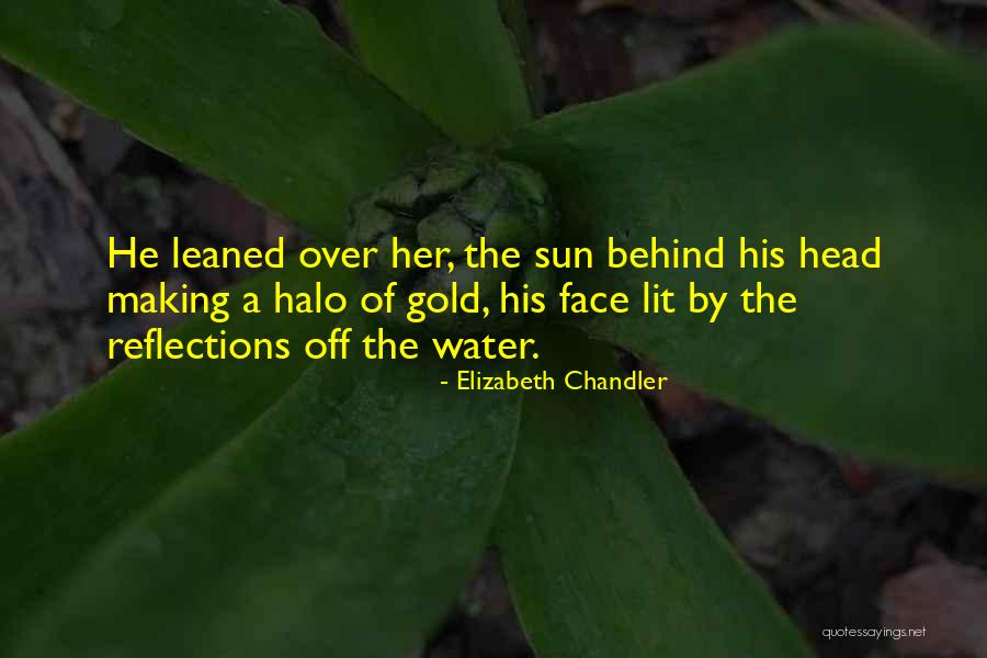 Dysfunctional Couple Quotes By Elizabeth Chandler Dysfunctional Couple Quotes By Elizabeth Chandler