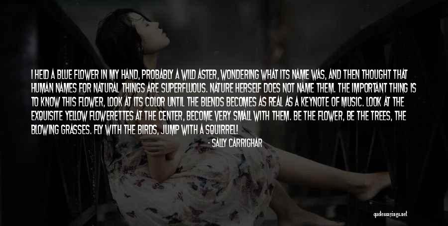 Dysfunctional Couple Quotes By Sally Carrighar Dysfunctional Couple Quotes By Sally Carrighar