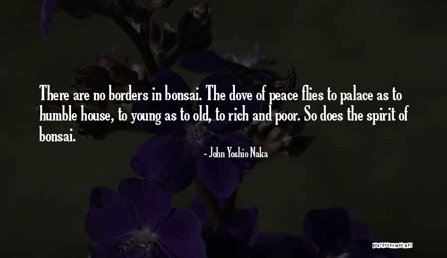 Dysinger Patry Quotes By John Yoshio Naka Dysinger Patry Quotes By John Yoshio Naka