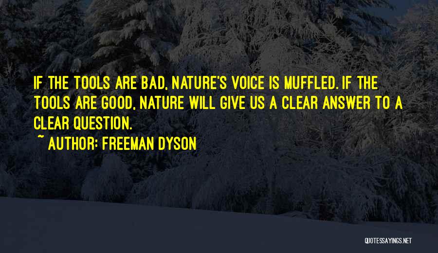 Dyson Freeman Quotes By Freeman Dyson