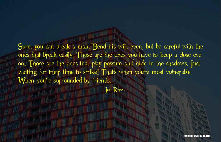 Dystopian Fiction Quotes By Joe Reyes