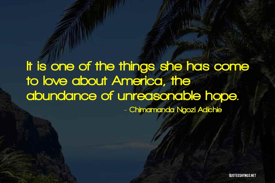 Dzelzs Ruda Quotes By Chimamanda Ngozi Adichie Dzelzs Ruda Quotes By Chimamanda Ngozi Adichie