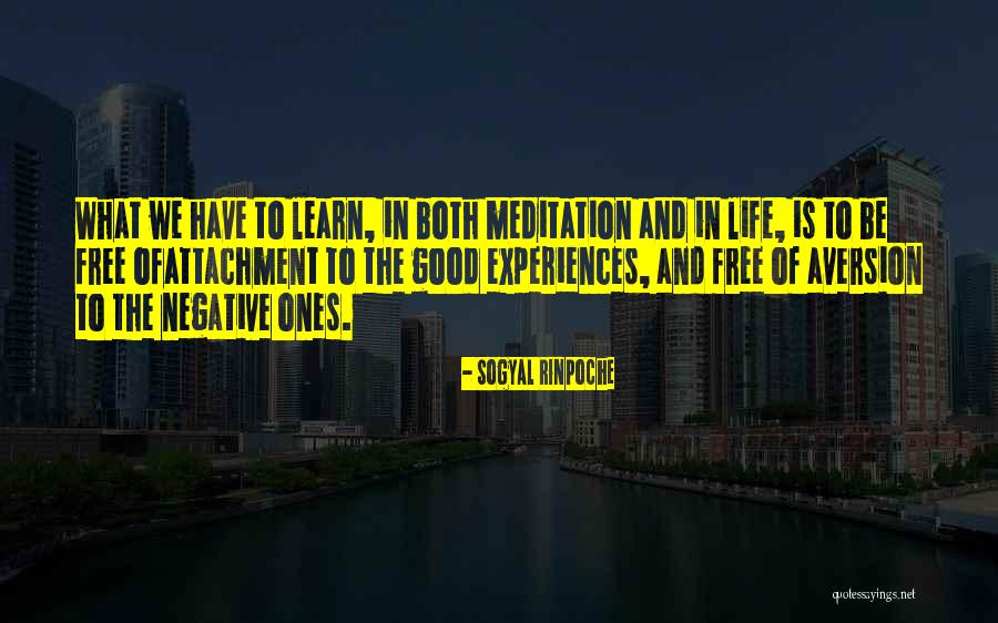 Dzen Quotes By Sogyal Rinpoche Dzen Quotes By Sogyal Rinpoche