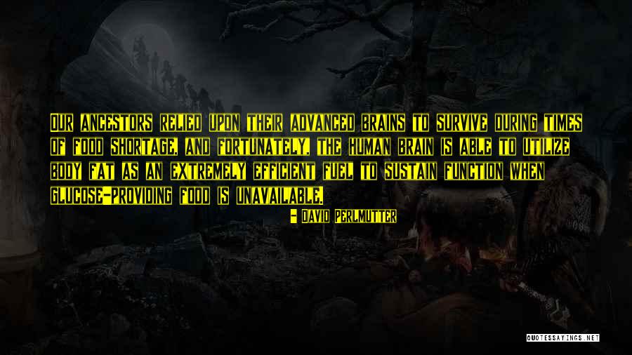 Dzevad Karahasan Quotes By David Perlmutter Dzevad Karahasan Quotes By David Perlmutter