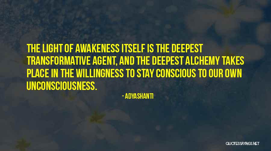 Dzevad Turkovic Quotes By Adyashanti Dzevad Turkovic Quotes By Adyashanti
