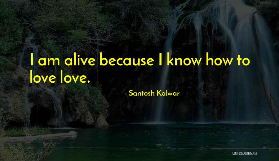 Dzieje Polski Quotes By Santosh Kalwar