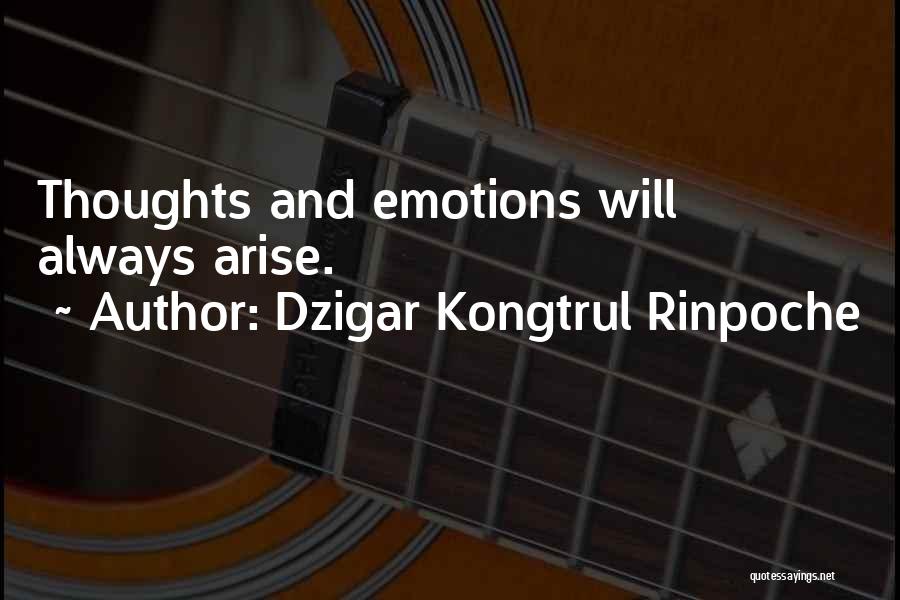 Dzigar Kongtrul Quotes By Dzigar Kongtrul Rinpoche