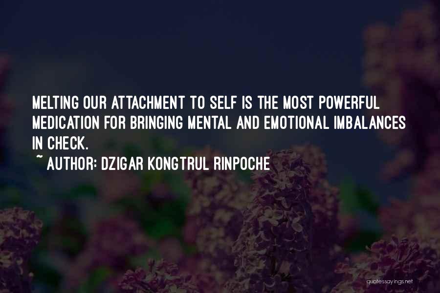 Dzigar Kongtrul Quotes By Dzigar Kongtrul Rinpoche