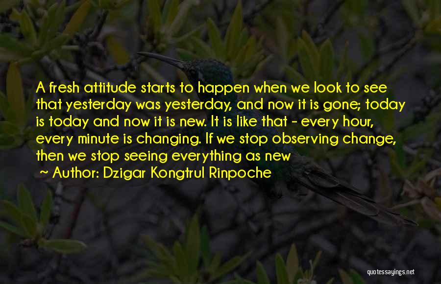 Dzigar Kongtrul Quotes By Dzigar Kongtrul Rinpoche