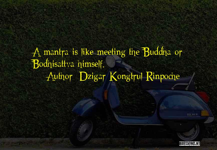 Dzigar Kongtrul Quotes By Dzigar Kongtrul Rinpoche