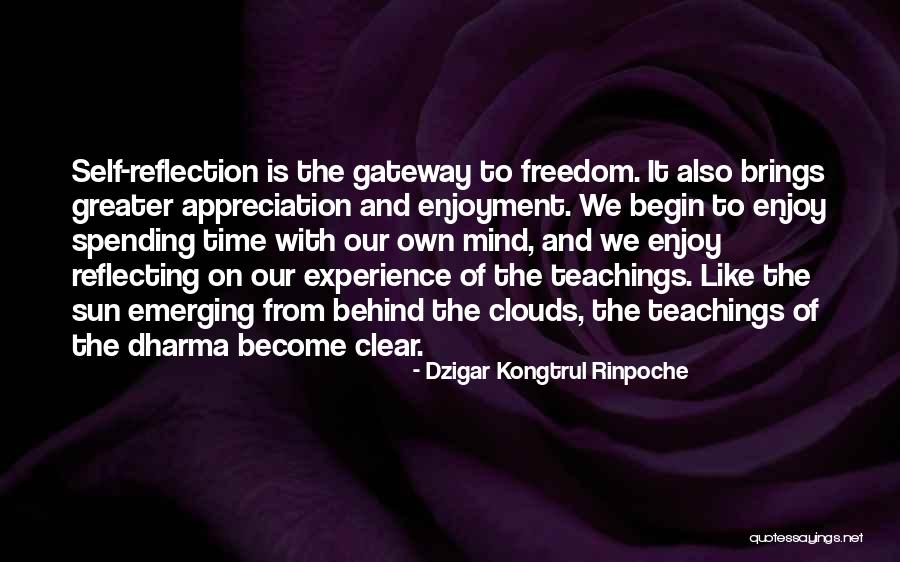 Dzigar Kongtrul Rinpoche Quotes 1055832