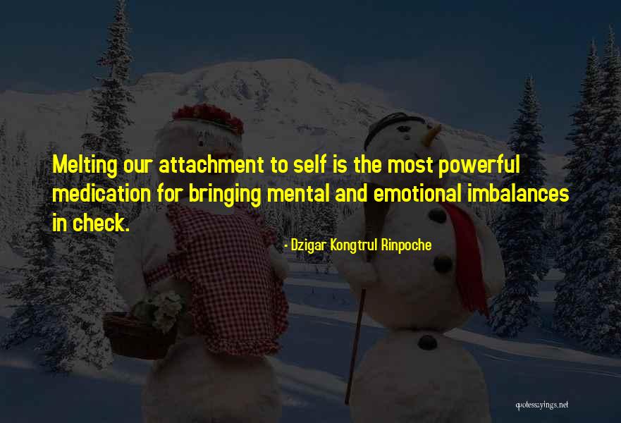 Dzigar Kongtrul Rinpoche Quotes 1494087 Dzigar Kongtrul Rinpoche Quotes 1494087