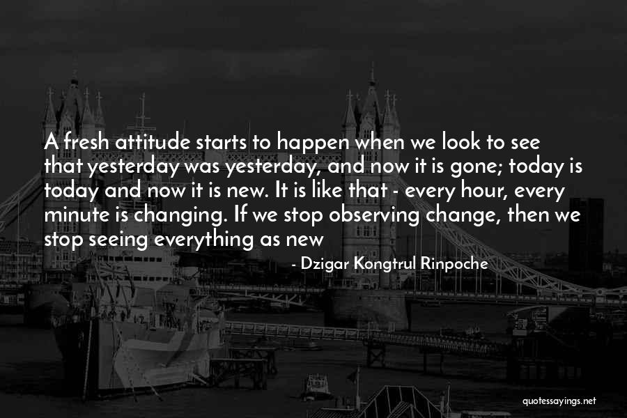 Dzigar Kongtrul Rinpoche Quotes 2242860 Dzigar Kongtrul Rinpoche Quotes 2242860