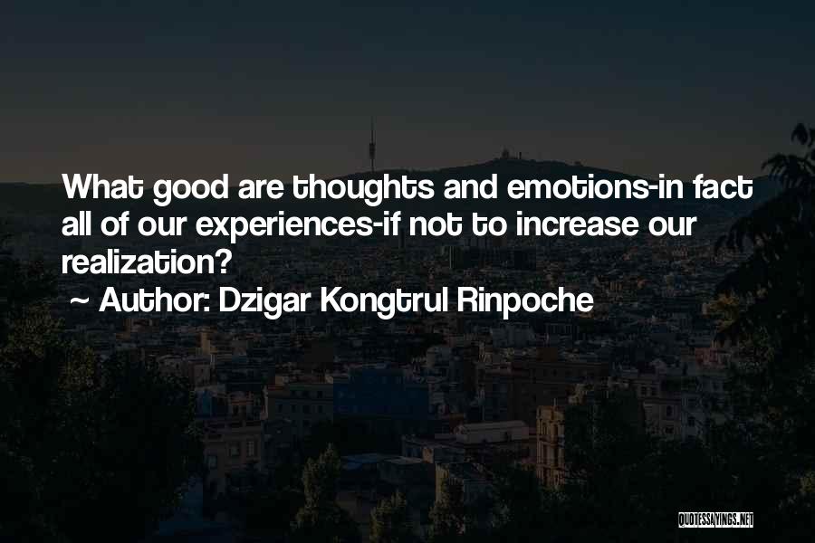 Dzigar Kongtrul Rinpoche Quotes 289320