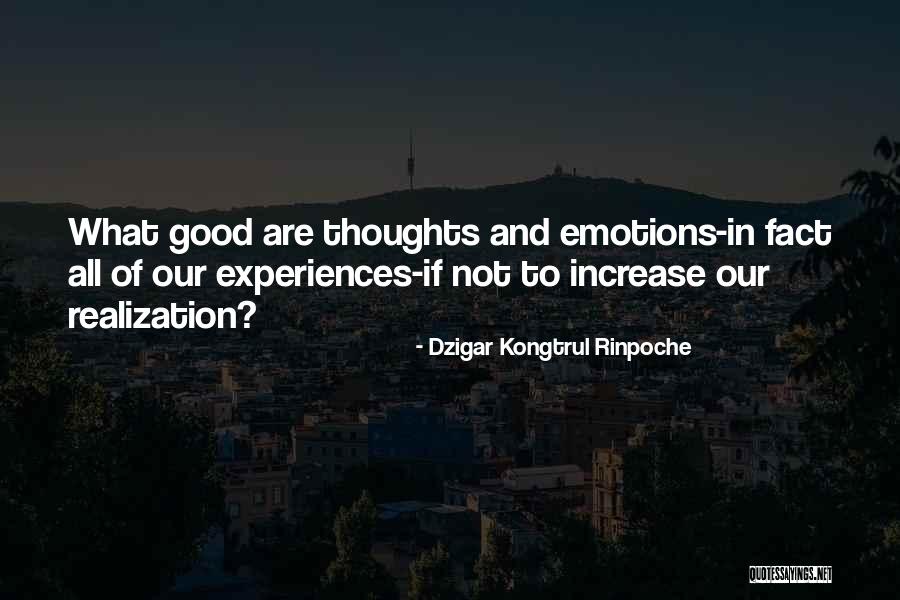 Dzigar Kongtrul Rinpoche Quotes 289320