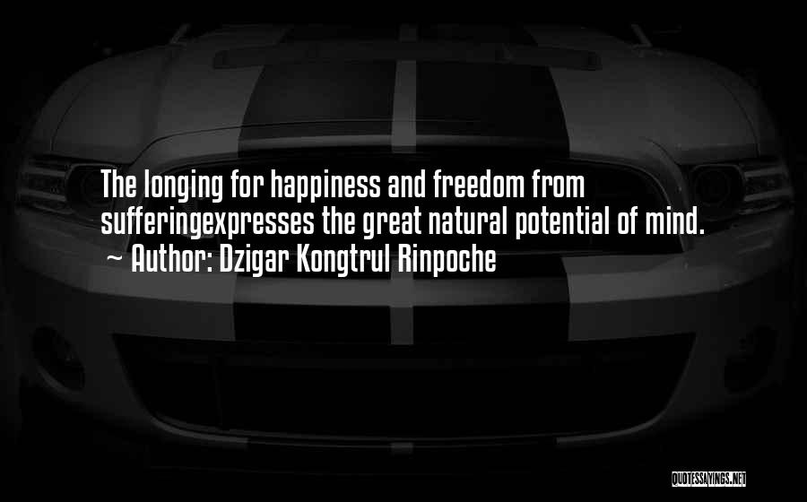 Dzigar Kongtrul Rinpoche Quotes 308728