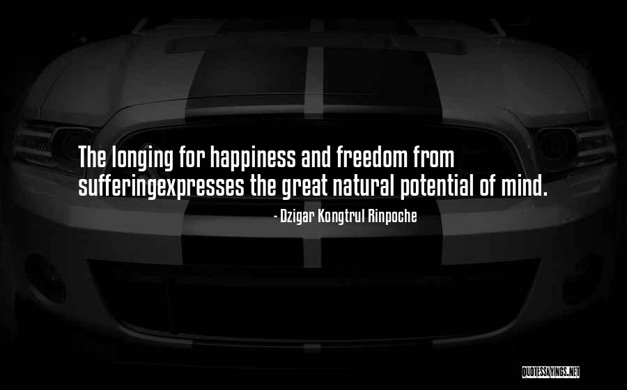 Dzigar Kongtrul Rinpoche Quotes 308728 Dzigar Kongtrul Rinpoche Quotes 308728