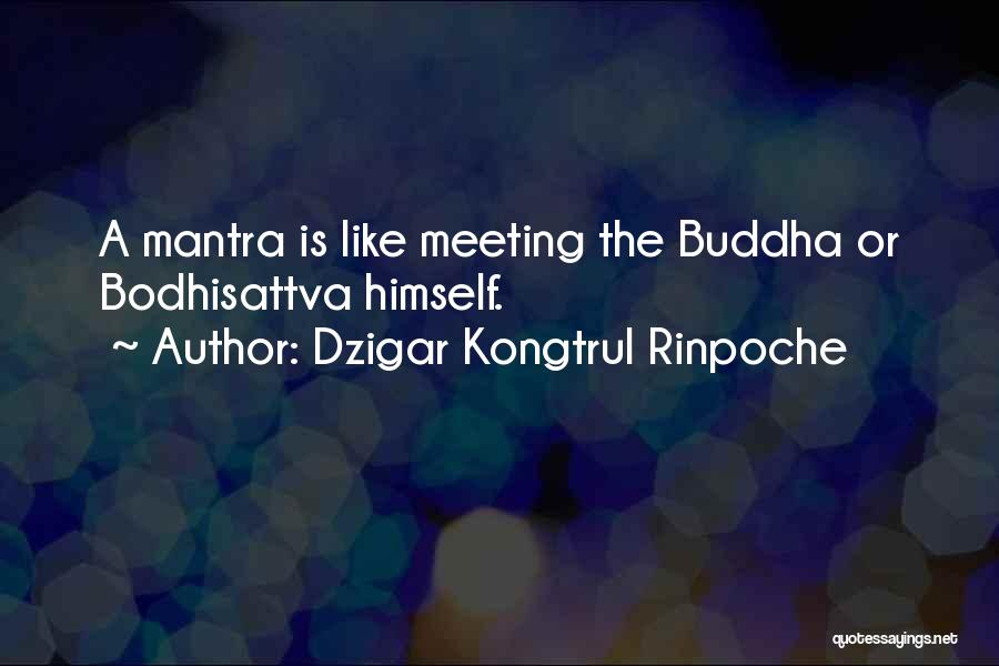 Dzigar Kongtrul Rinpoche Quotes 415924