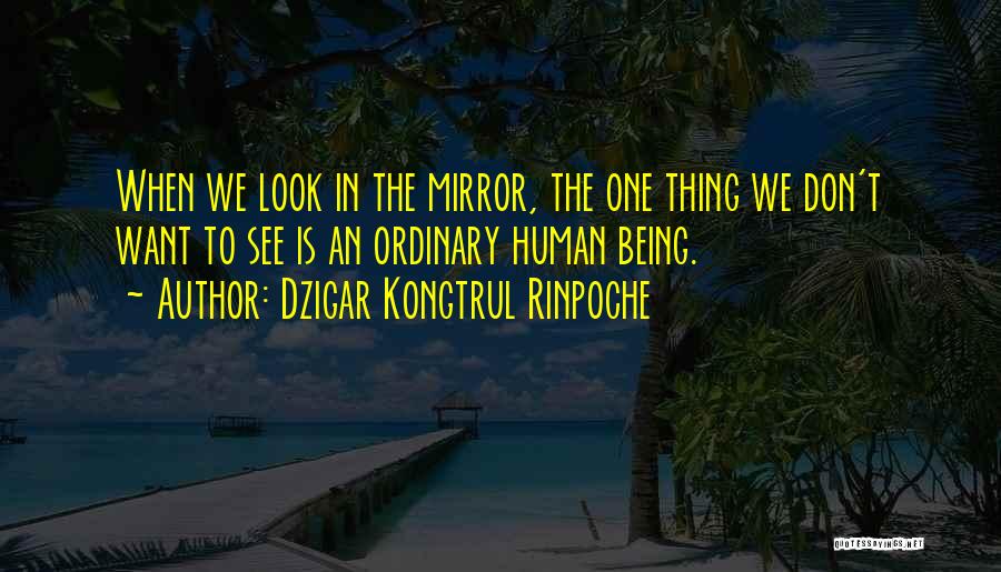 Dzigar Kongtrul Rinpoche Quotes 602967