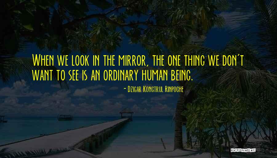 Dzigar Kongtrul Rinpoche Quotes 602967 Dzigar Kongtrul Rinpoche Quotes 602967
