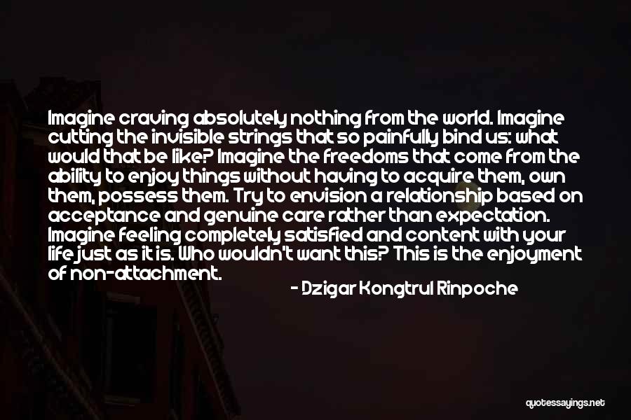 Dzigar Kongtrul Rinpoche Quotes 939090 Dzigar Kongtrul Rinpoche Quotes 939090