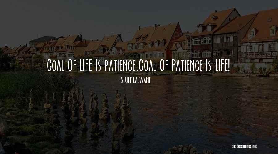 Dzindzichashvili Vicki Quotes By Sujit Lalwani