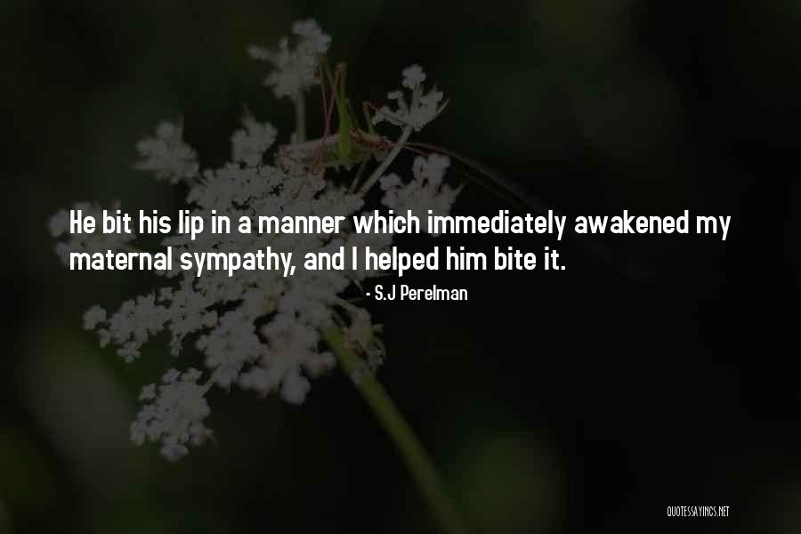 Dziura W Quotes By S.J Perelman Dziura W Quotes By S.J Perelman
