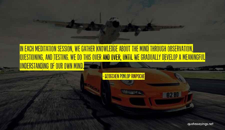 Dzogchen Ponlop Rinpoche Quotes 1192496 Dzogchen Ponlop Rinpoche Quotes 1192496