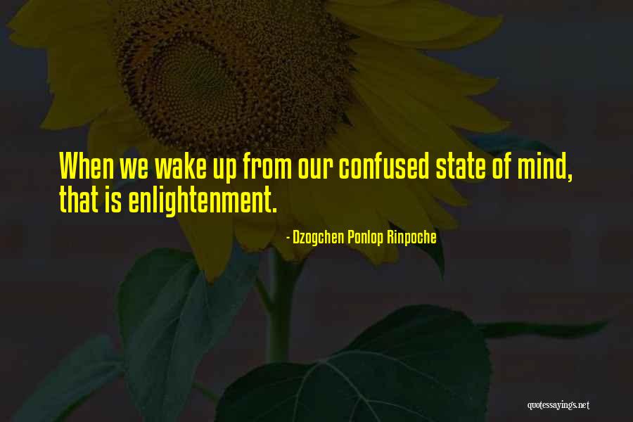 Dzogchen Ponlop Rinpoche Quotes 1478578