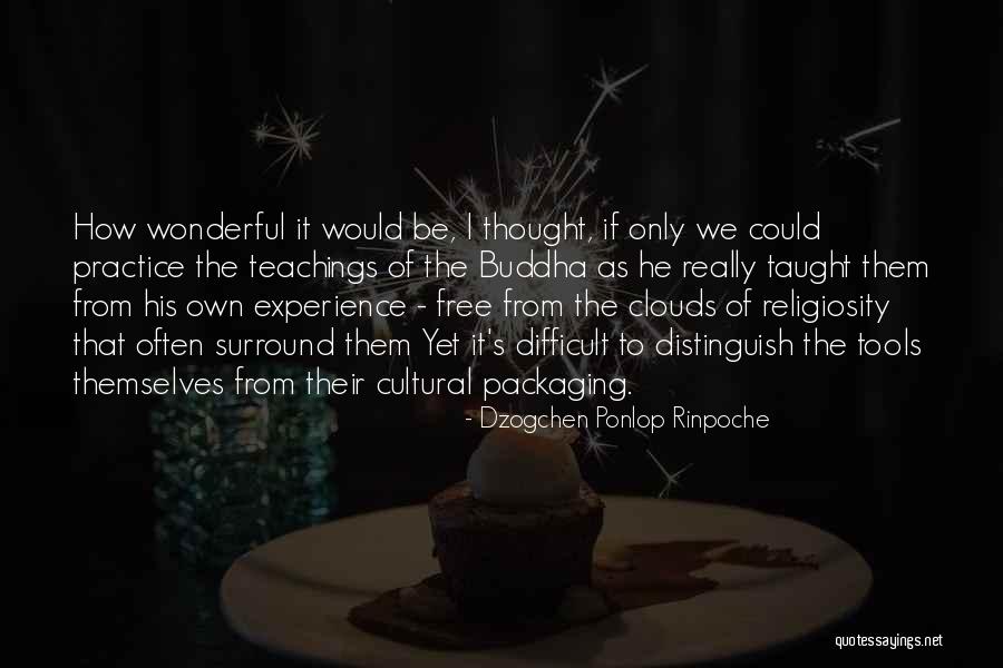 Dzogchen Ponlop Rinpoche Quotes 899253 Dzogchen Ponlop Rinpoche Quotes 899253