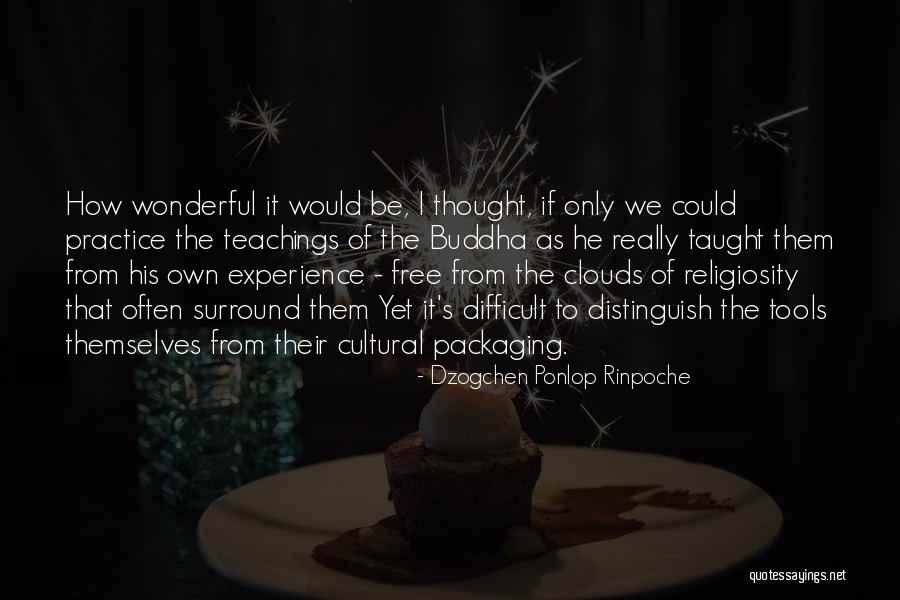 Dzogchen Ponlop Rinpoche Quotes 899253