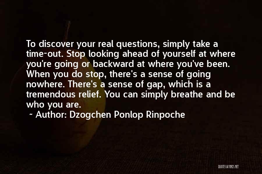 Dzogchen Quotes By Dzogchen Ponlop Rinpoche