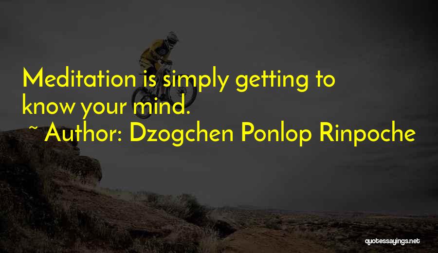 Dzogchen Quotes By Dzogchen Ponlop Rinpoche