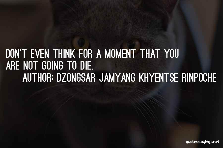 Dzongsar Jamyang Khyentse Rinpoche Quotes 1788629