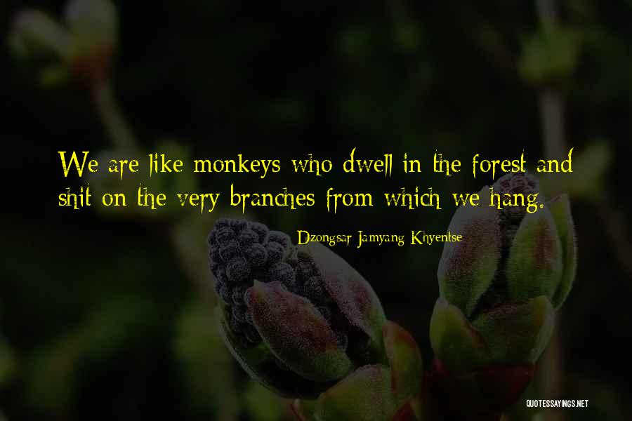 Dzongsar Khyentse Quotes By Dzongsar Jamyang Khyentse