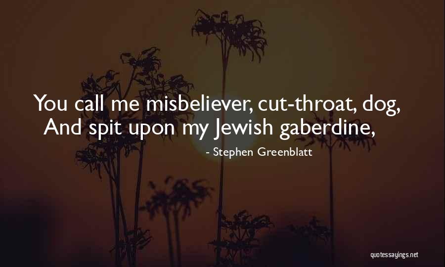 Dzumhur Girlfriend Quotes By Stephen Greenblatt