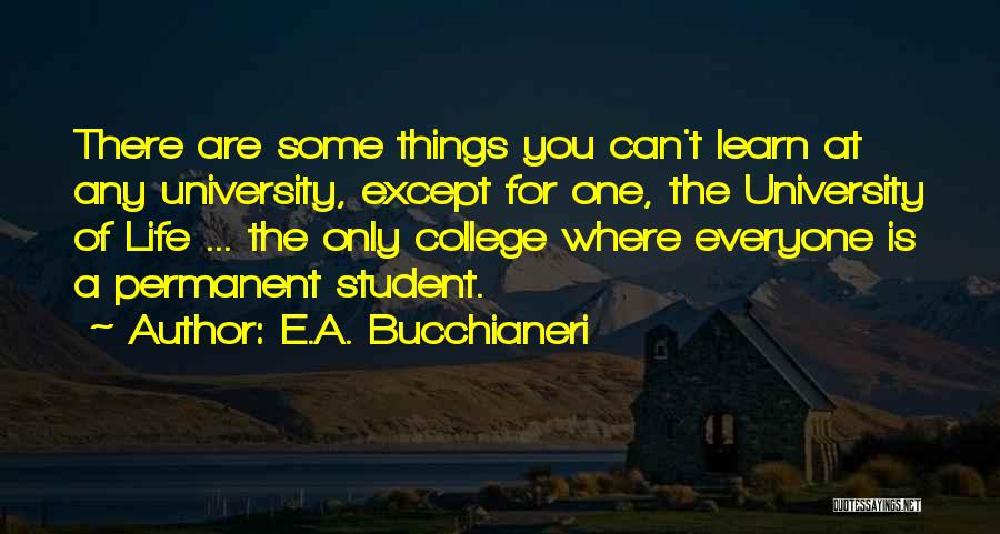 E.A. Bucchianeri Quotes 1734013 E.A. Bucchianeri Quotes 1734013