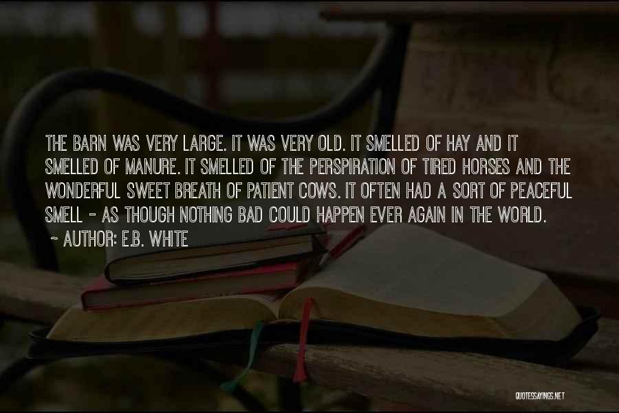 E.B. White Quotes 1130216