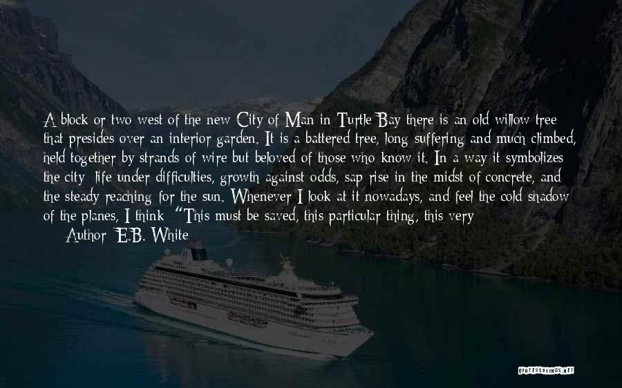 E.B. White Quotes 1384682