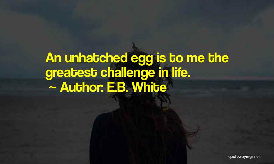 E.B. White Quotes 1463669