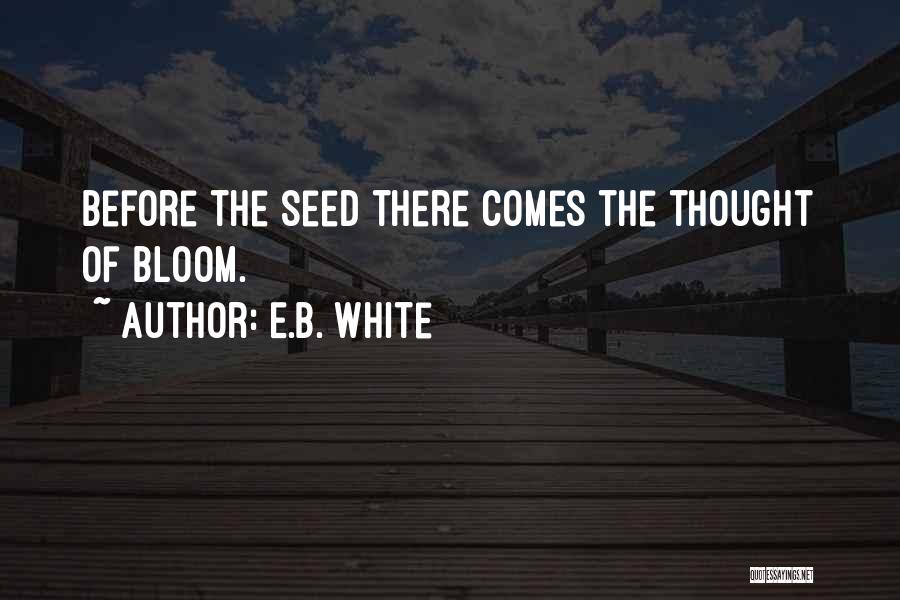 E.B. White Quotes 1992652