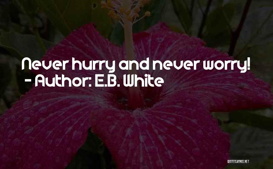 E.B. White Quotes 2248000