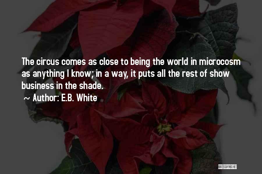 E.B. White Quotes 357884