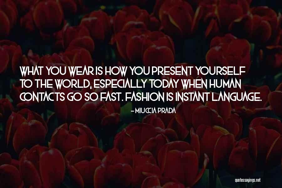 E C3 A7a De Queir C3 B3s Quotes By Miuccia Prada E C3 A7a De Queir C3 B3s Quotes By Miuccia Prada