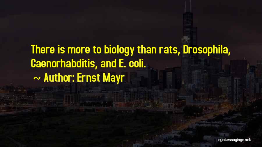 E Coli Quotes By Ernst Mayr