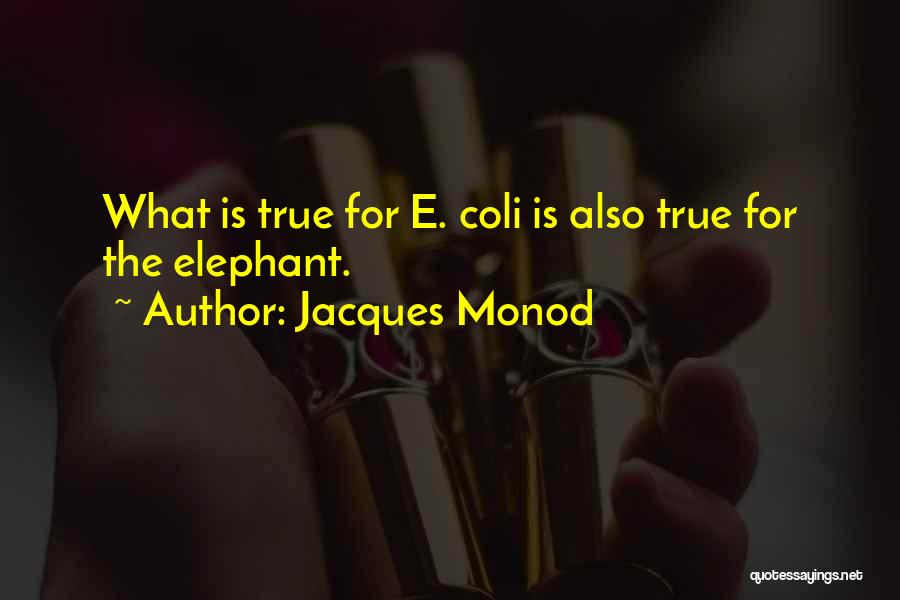 E Coli Quotes By Jacques Monod